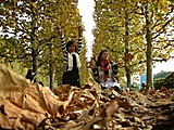 May 2010 Contest - Best Picture In this Thread-autumn-jpg