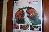 May 2010 Contest - Best Picture In this Thread-hairy-crabs-jpg