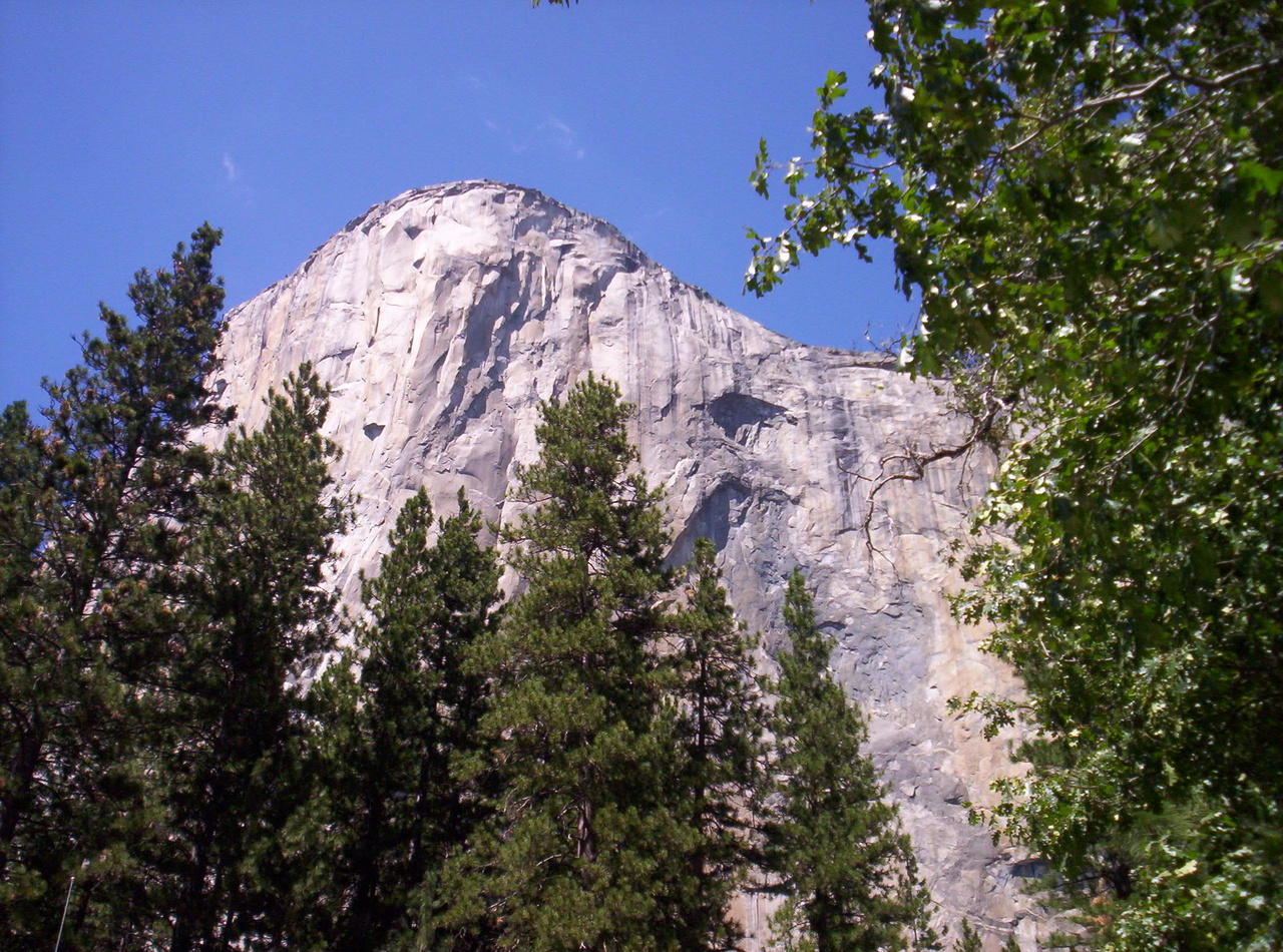 Name:  100_1570.jpg
Views: 513
Size:  668.6 KB