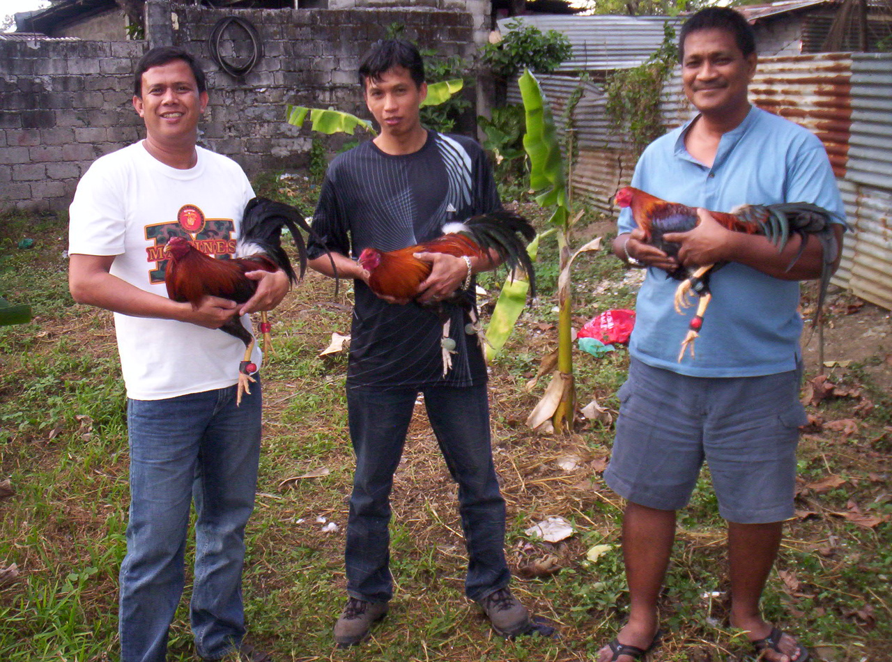 Name:  100_1515.jpg
Views: 550
Size:  682.7 KB