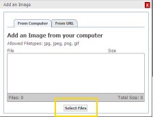 Name:  window-1..jpg
Views: 768
Size:  7.8 KB